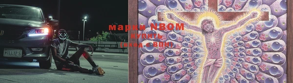 гидра Богородск