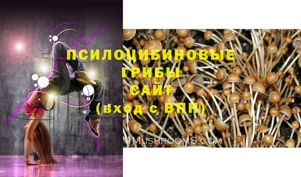 МДПВ Ростов