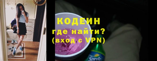 гидра Богородск