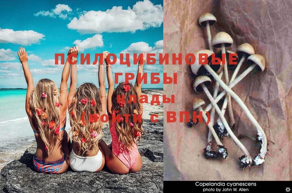 гидропоника Богданович