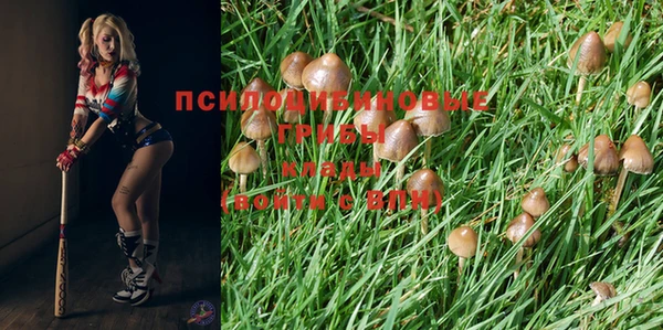 гидропоника Богданович